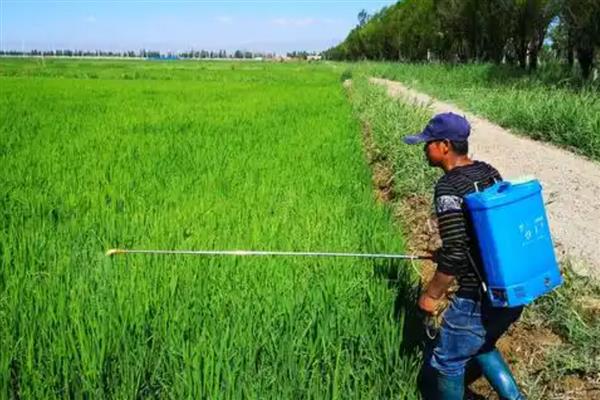 农药的分类，可分为杀虫剂、杀螨剂、杀菌剂等