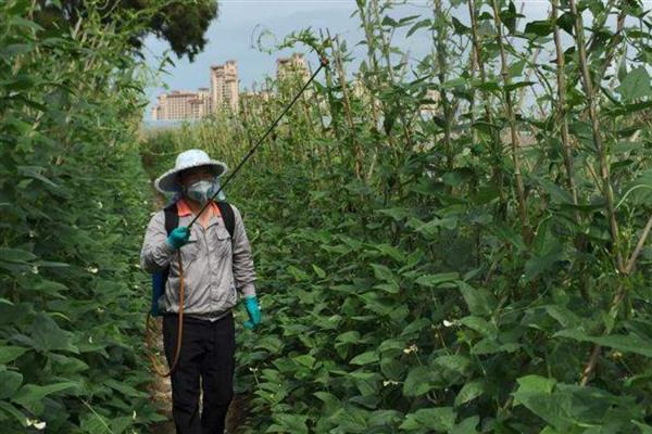 农药的分类，可分为杀虫剂、杀螨剂、杀菌剂等