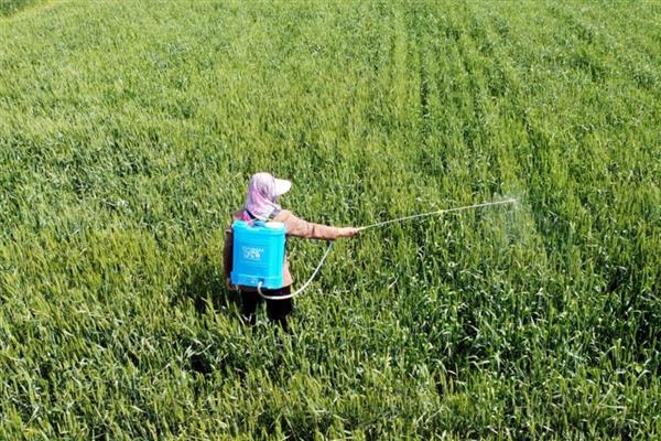 农药的分类，可分为杀虫剂、杀螨剂、杀菌剂等