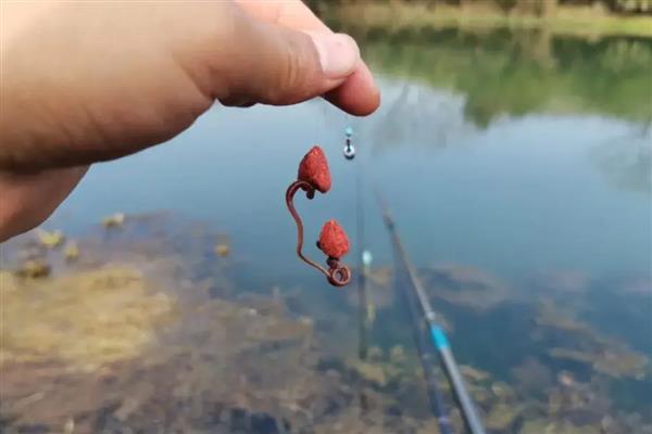 红鱼好不好钓,相对来说还是比较好钓的