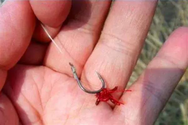 红鱼好不好钓,相对来说还是比较好钓的