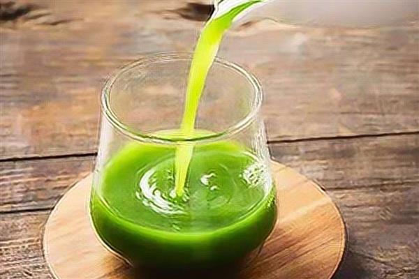 观音竹水培发黄应该添加哪些东西，掺入维生素B12等物质可以改善发黄现象