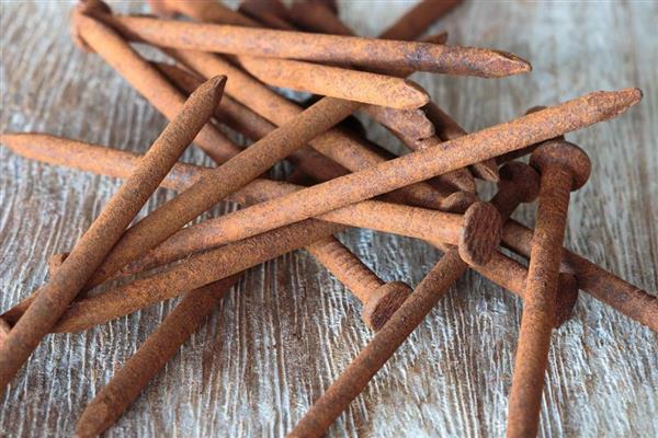 观音竹水培发黄应该添加哪些东西，掺入维生素B12等物质可以改善发黄现象