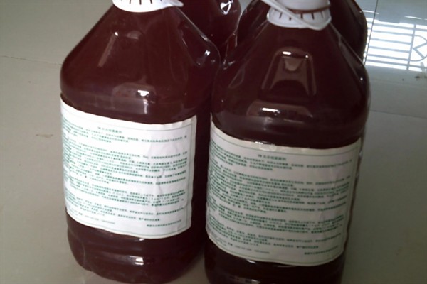 光合菌在水产养殖中有何作用,能起到改良水质、预防疾病等效果