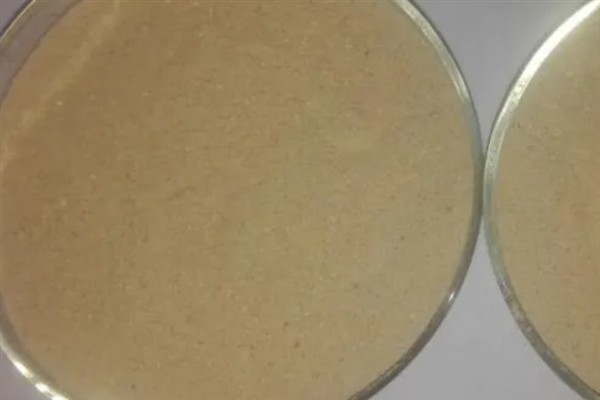 光合菌在水产养殖中有何作用,能起到改良水质、预防疾病等效果