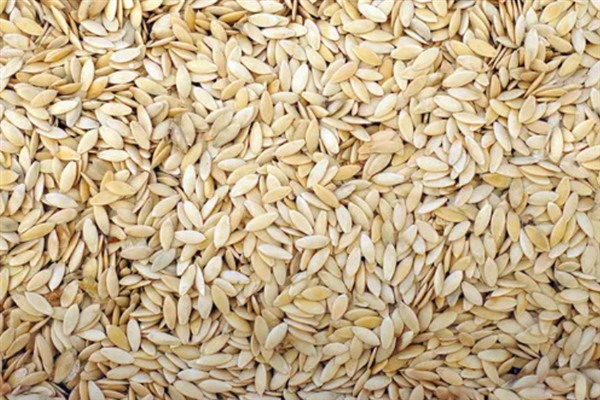 黄瓜种子的催芽方法,分为温汤种法、药液处理等