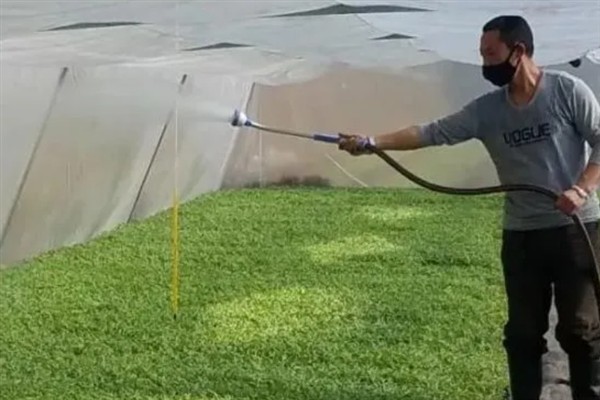 对蔬菜使用有机肥的方法，搭配生物肥一起使用效果更好