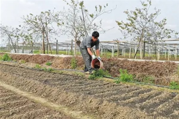 对蔬菜使用有机肥的方法，搭配生物肥一起使用效果更好
