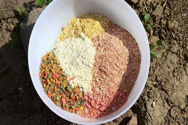 螺鲤2号属于什么味型的饵料，味型属于浓腥型