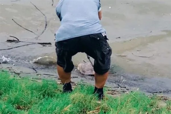 甲鱼枪的简介，是专门用来捕捉甲鱼的工具