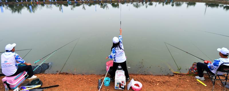 4月份钓鱼用哪种饵料，自然饵料可选择蚯蚓、麦粒、玉米等种类