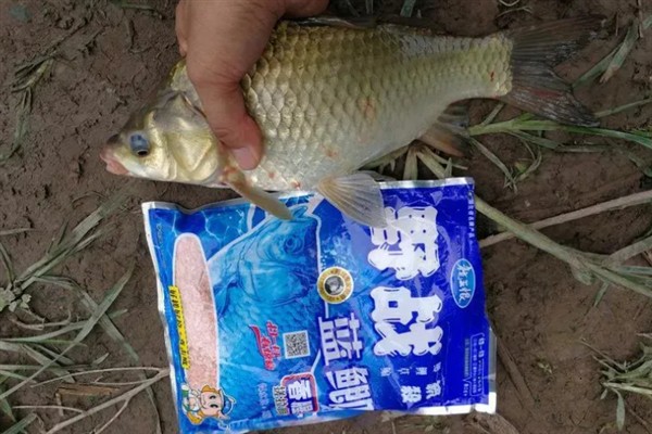 4月份钓鱼用哪种饵料，自然饵料可选择蚯蚓、麦粒、玉米等种类
