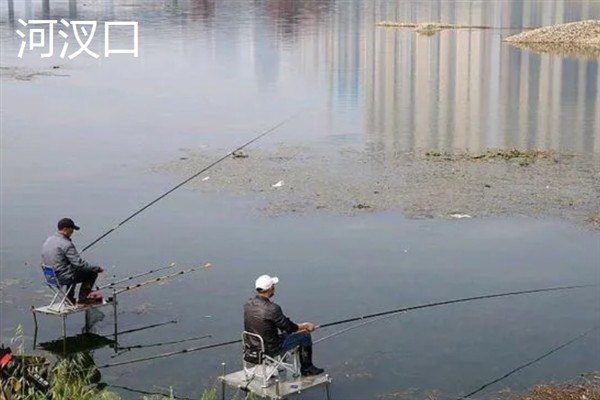 4月份钓鱼用哪种饵料，自然饵料可选择蚯蚓、麦粒、玉米等种类