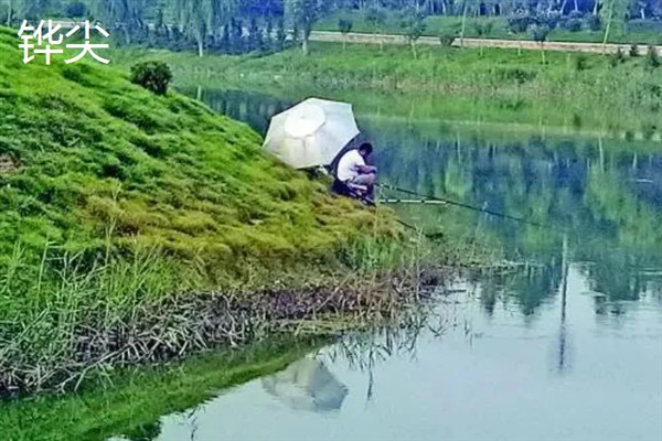 4月份钓鱼用哪种饵料，自然饵料可选择蚯蚓、麦粒、玉米等种类