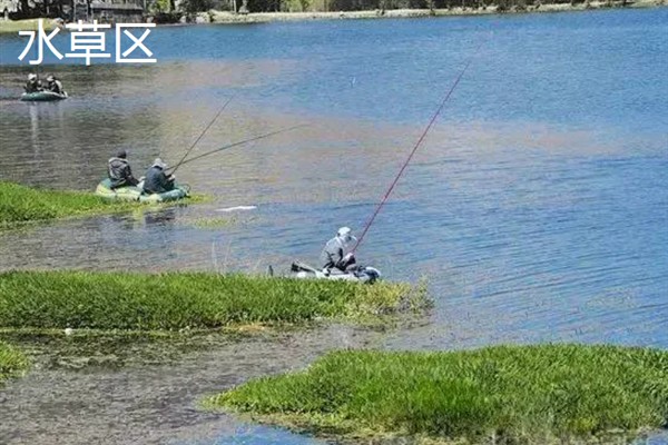 4月份钓鱼用哪种饵料，自然饵料可选择蚯蚓、麦粒、玉米等种类