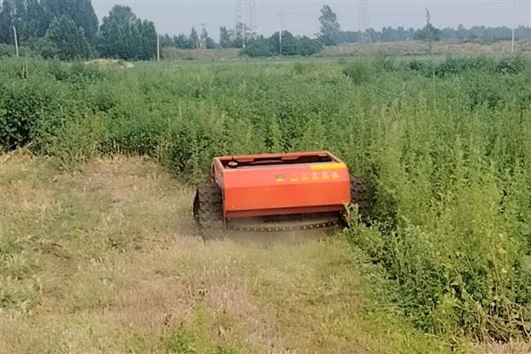 刚开荒的土地如何改善土壤，采取深耕措施可以提高肥力