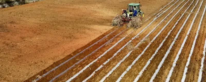 刚开荒的土地如何改善土壤，采取深耕措施可以提高肥力