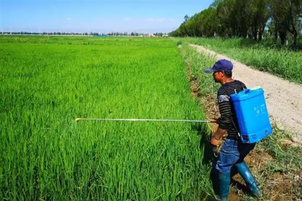 甲拌磷残留多长时间,可以残留1个月左右