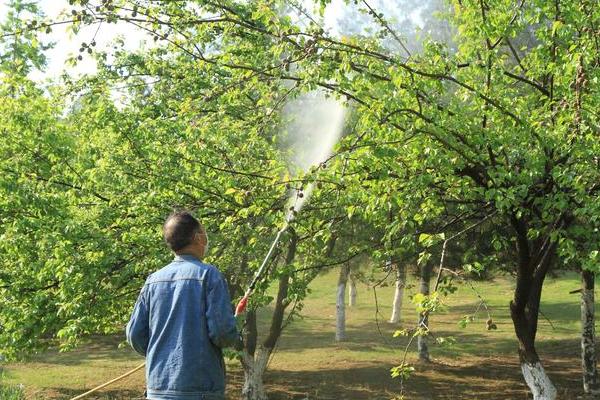 果树叶面追肥的原则，果树叶面追肥应当遵循缺啥补啥原则