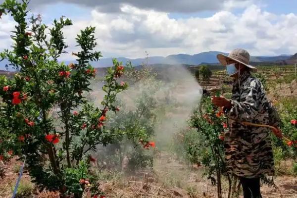 果树叶面追肥的原则，果树叶面追肥应当遵循缺啥补啥原则