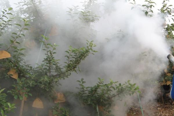 果树叶面追肥的原则，果树叶面追肥应当遵循缺啥补啥原则