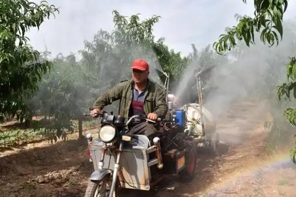 果树叶面追肥的原则，果树叶面追肥应当遵循缺啥补啥原则