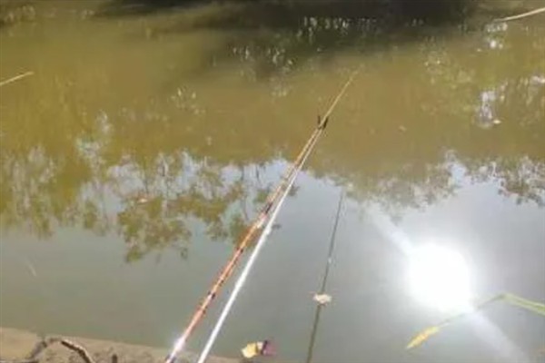 什么天气钓鱼最好，多云比较适宜
