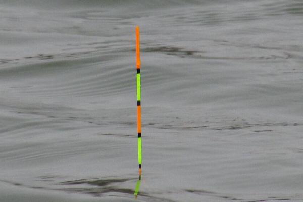 钓白鲢鱼用哪种饵料,酌情选择自制饵或商品饵