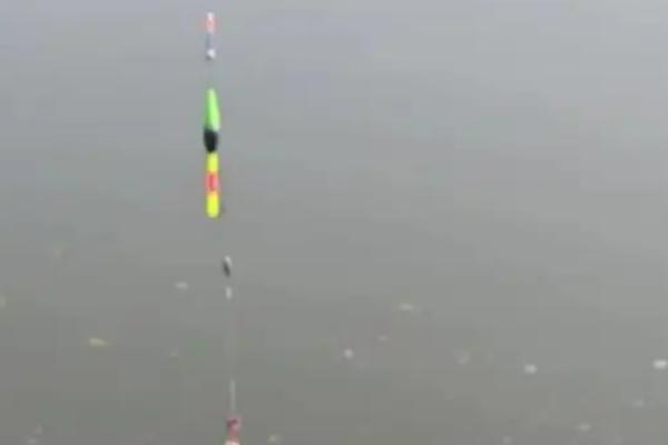 钓白鲢鱼用哪种饵料,酌情选择自制饵或商品饵