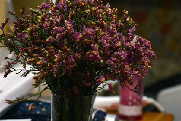 水养干枝梅的存活时间,管理得当可存活3-5年左右