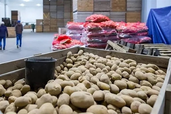 春季土豆怎么存放，可放在纸箱里