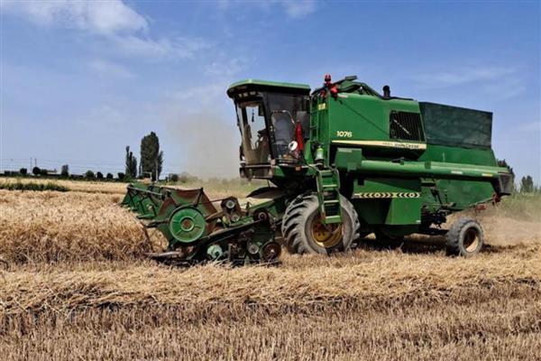 一亩麦子的产量，可达到500-900斤左右