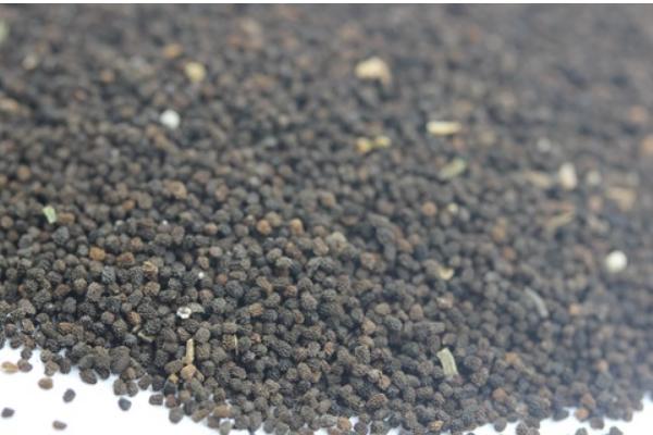 金鱼草会不会开花，自然花期为5-7月份