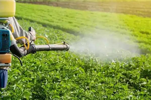 乙蒜素能防治哪些病害,对土传性病害、枯萎病、霜霉病等种类具有防效