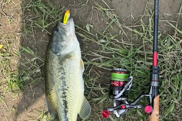 路亚翘嘴的适宜时间，一天之中适合在早上和傍晚作钓