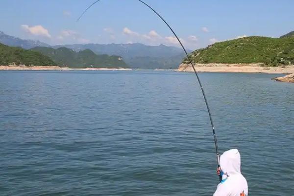 路亚翘嘴的适宜时间，一天之中适合在早上和傍晚作钓