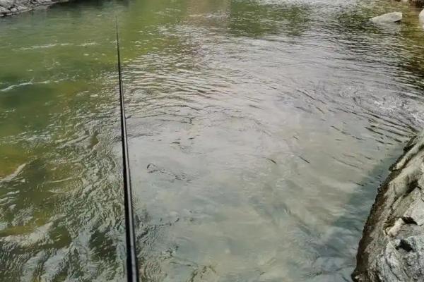 路亚翘嘴的适宜时间，一天之中适合在早上和傍晚作钓