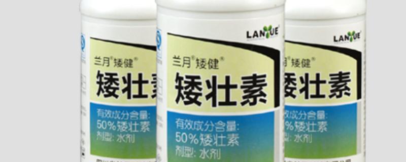 不可以打矮壮素的花木有哪些，所有品种皆可使用但不能过量