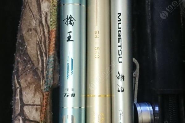 黑坑钓鲤鱼用6H还是8H鱼竿，正钓所用的鱼竿硬度以8H或8H以上为宜