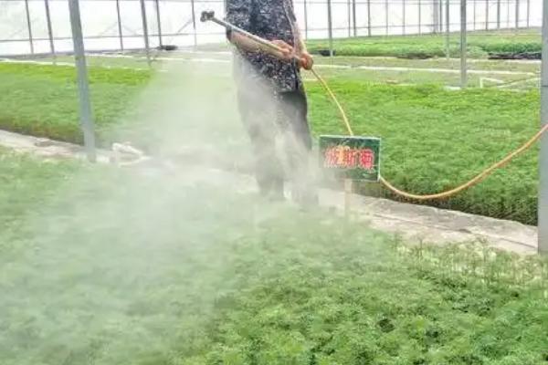 氟铃脲不能用在什么作物上，不适用于瓜类和豆类作物