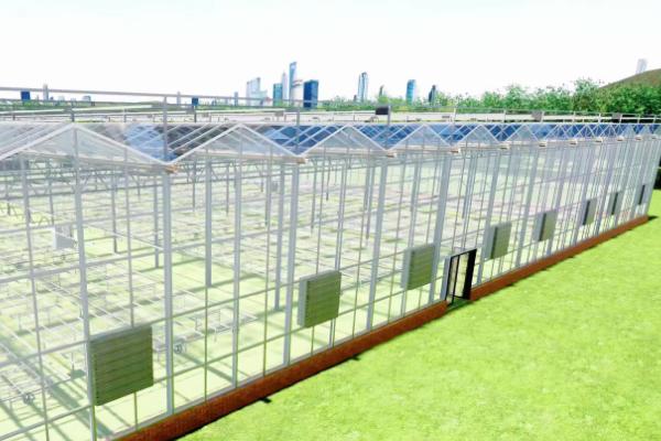 建造温室玻璃大棚的方法,根据所在地区选择不同的覆盖材料