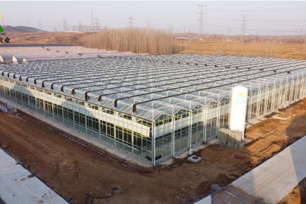 建造温室玻璃大棚的方法,根据所在地区选择不同的覆盖材料