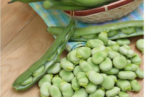 蚕豆是不是坚果类,蚕豆不属于坚果类