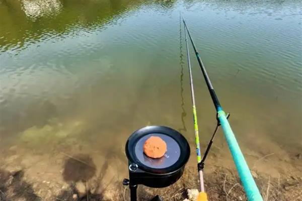 如何确定水域有鲢鳙，可以观察该区域是否有鲢鳙跳水