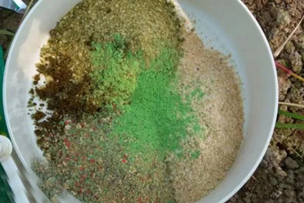 秋季钓鲫鱼用哪种味型的饵料,初秋仍要用清淡的饵料