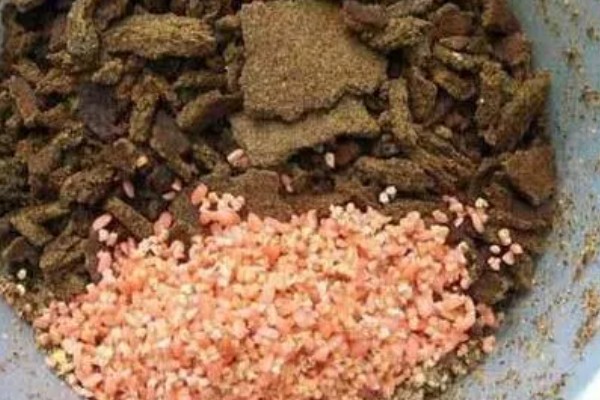 秋季钓鲫鱼用哪种味型的饵料,初秋仍要用清淡的饵料