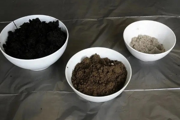 蟹爪兰怎样栽培,华鹏一般比植株大一圈即可