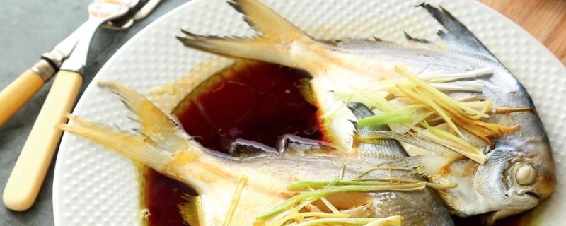 白鲳鱼有哪些做法，可清蒸也可香煎