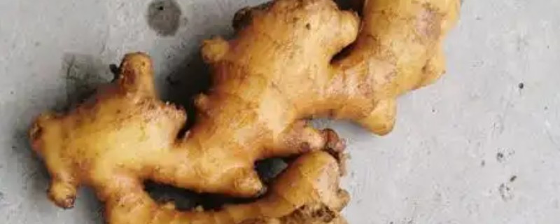 生姜的保存方法有哪些，可以用沙子存储