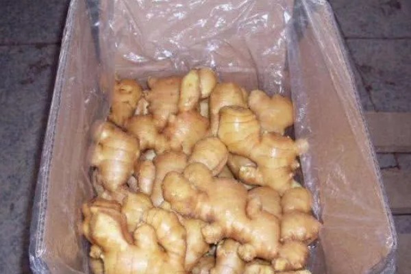 生姜的保存方法有哪些，可以用沙子存储